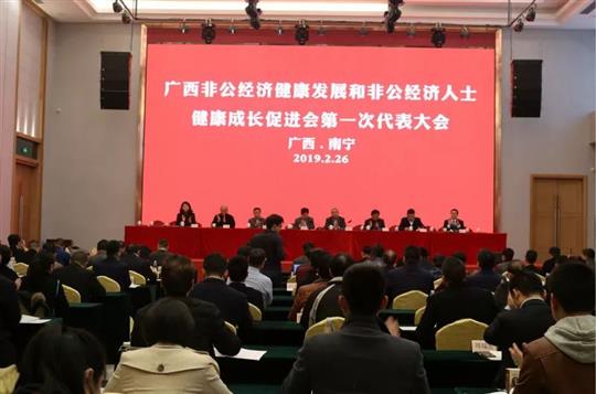 廣西非公經濟健康發(fā)展和非公經濟人士健康成長促進會第一次代表大會順利召開
